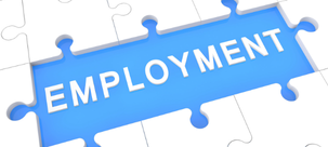Employment Lawyer