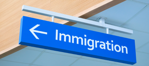 Immigration Lawyer